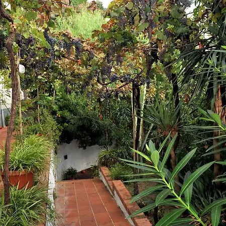 Holiday home Maria Antonietta Vietri sul Mare